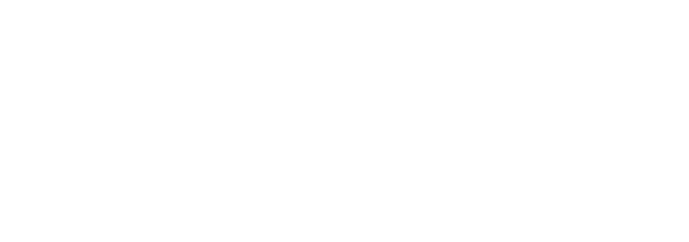 Logo furlan